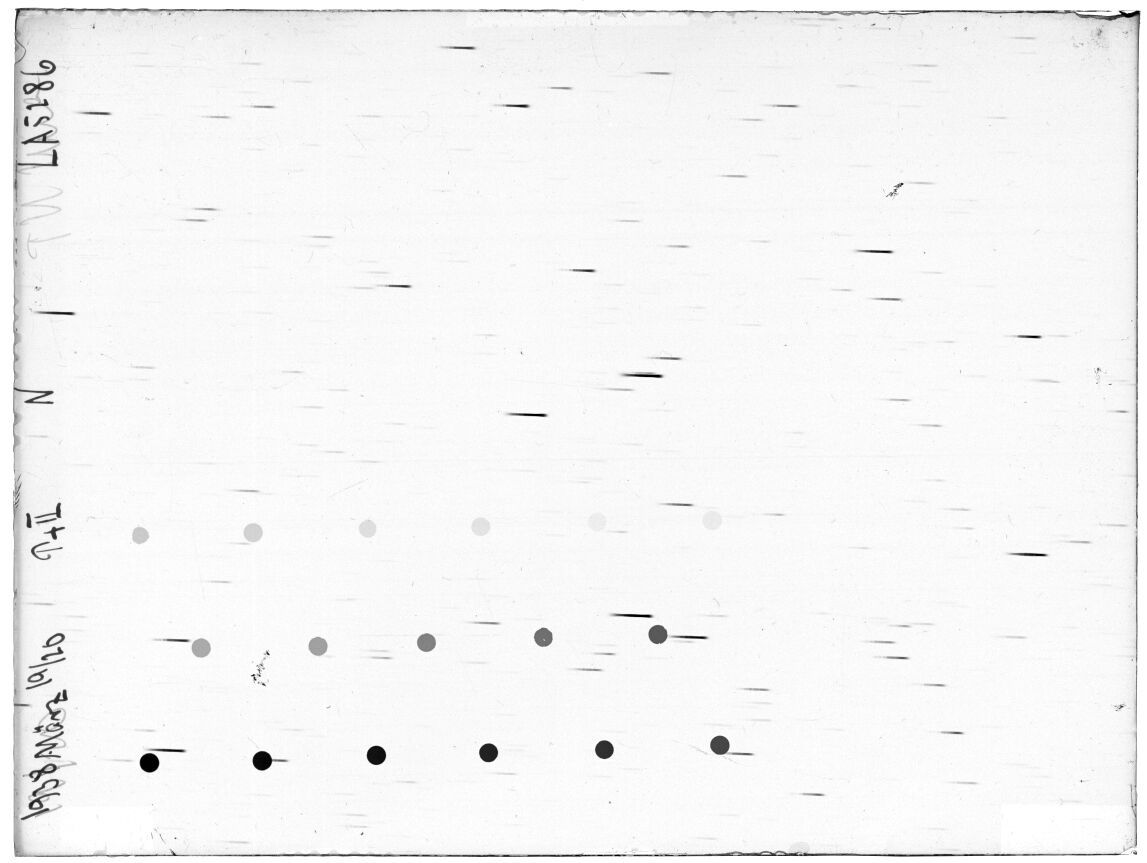 Scan LA05286