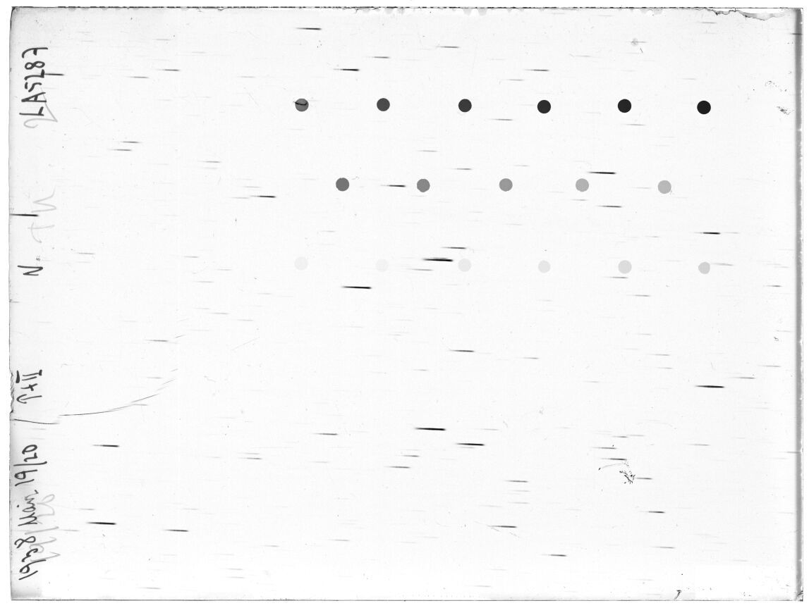 Scan LA05287