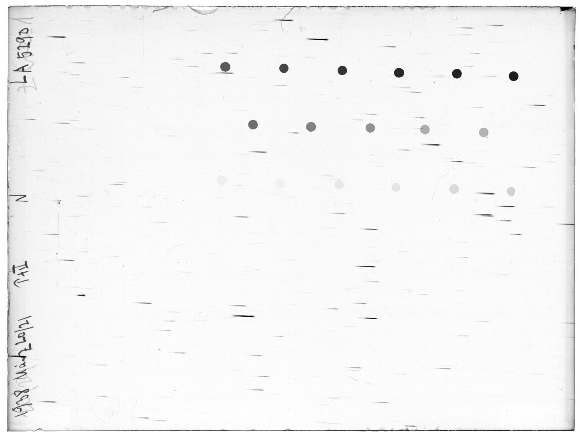 Scan LA05290