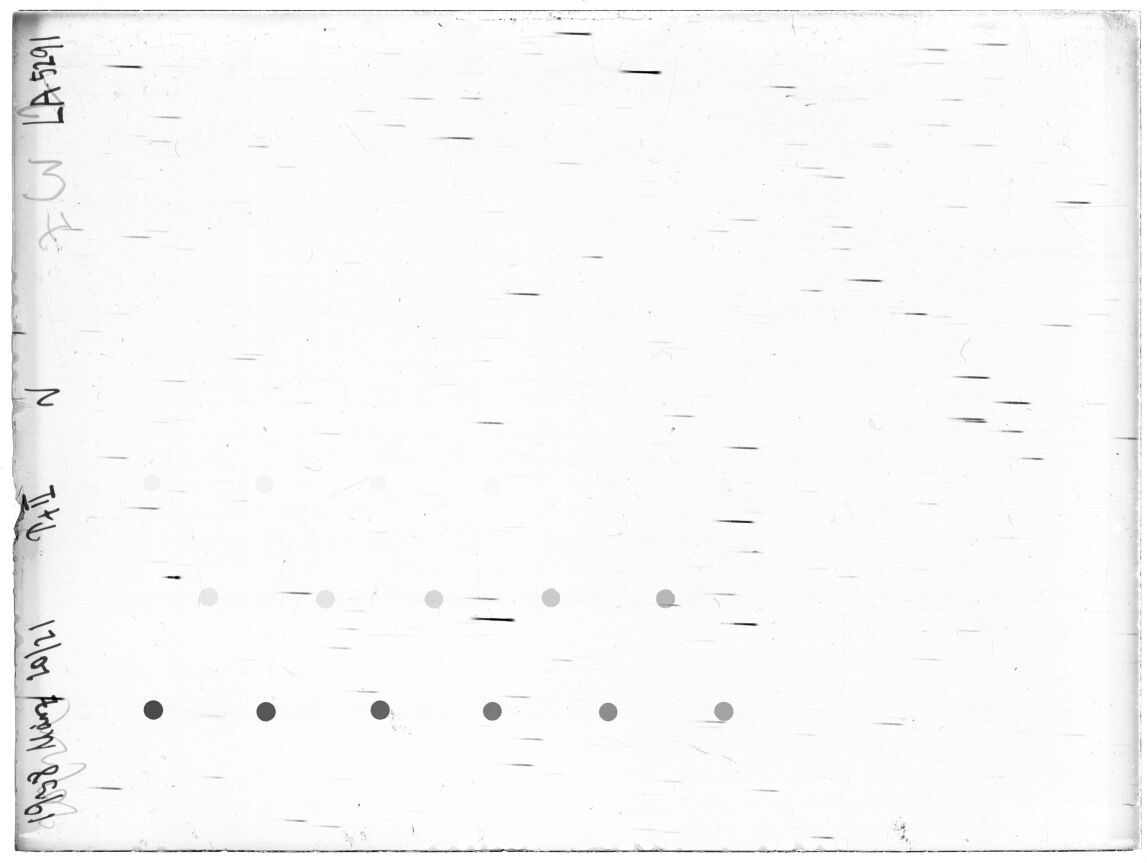 Scan LA05291