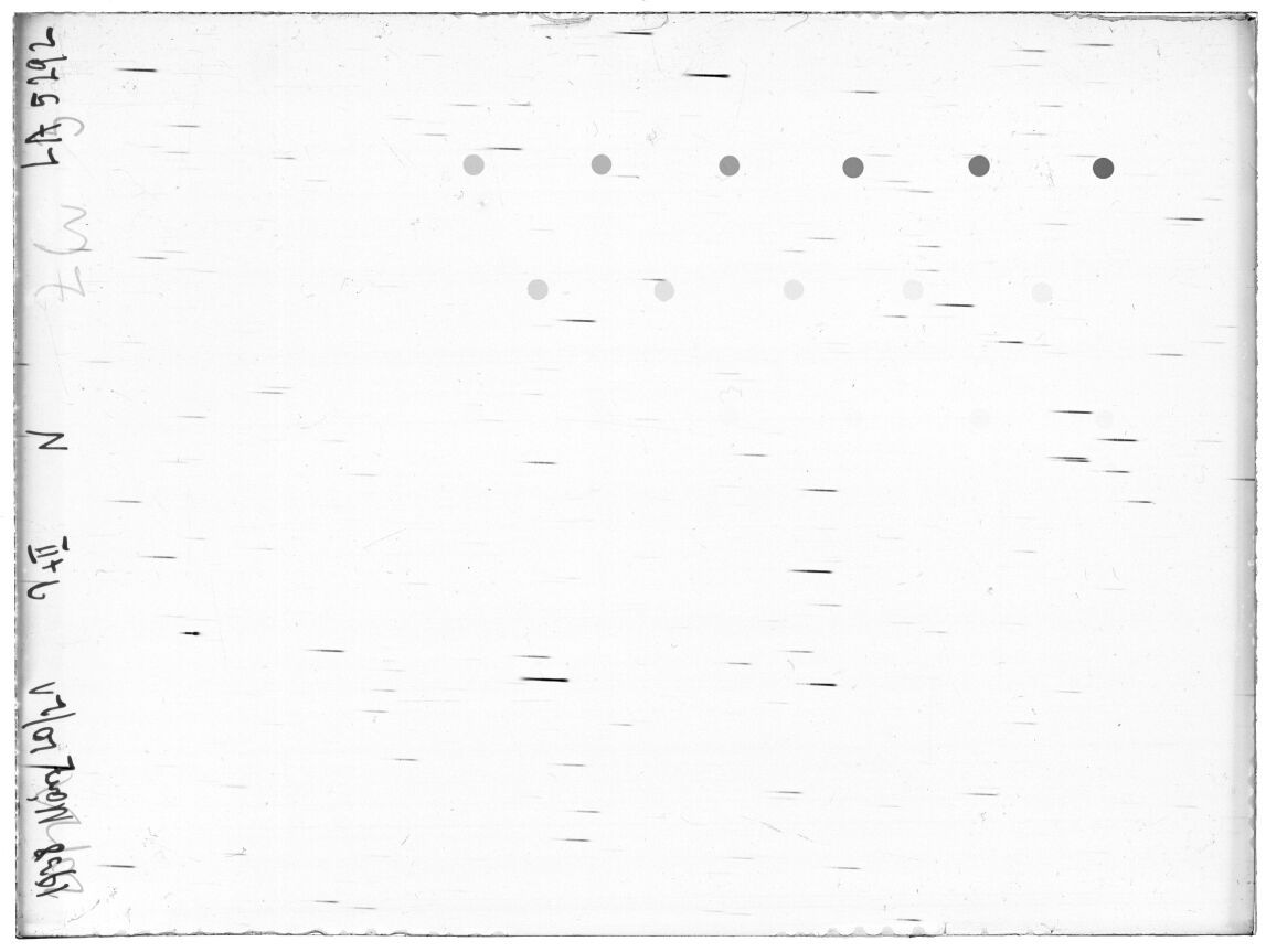 Scan LA05292