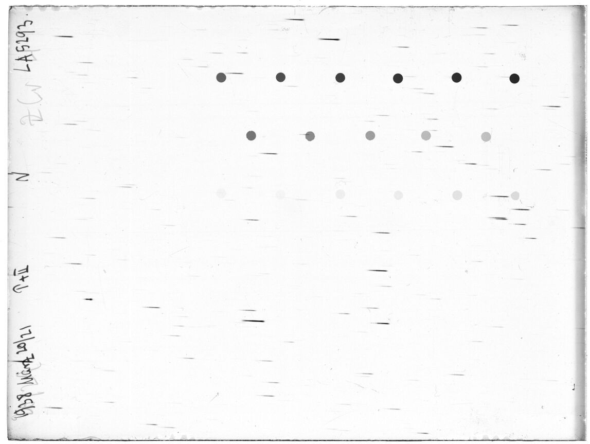 Scan LA05293