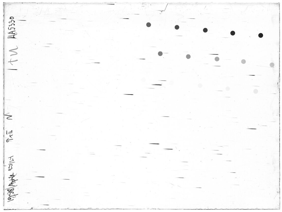 Scan LA05330