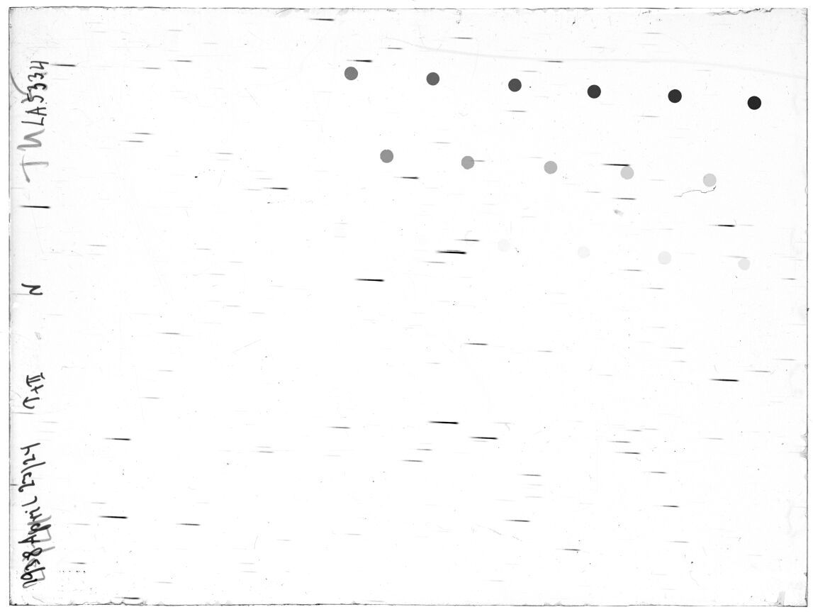 Scan LA05334