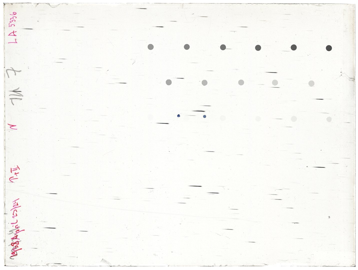 Scan LA05336