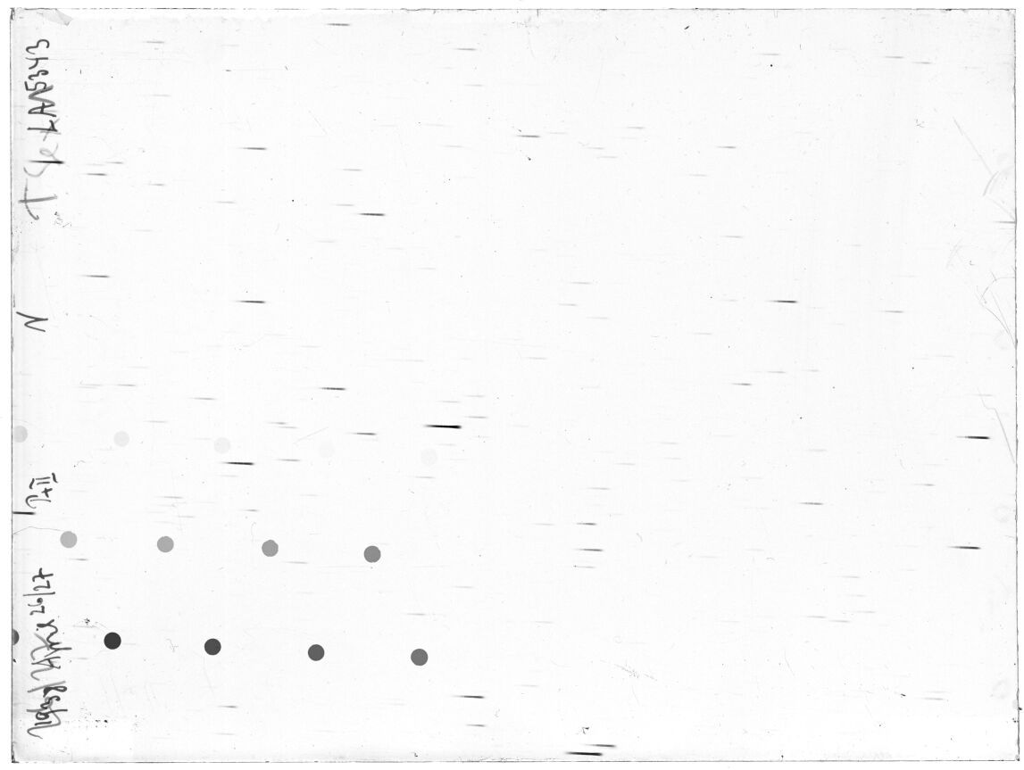 Scan LA05343