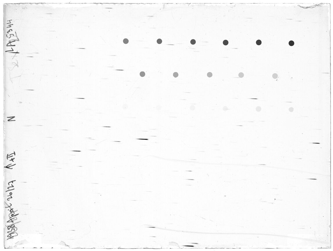 Scan LA05344