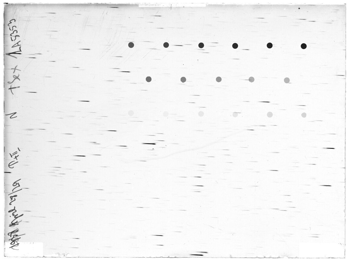 Scan LA05353