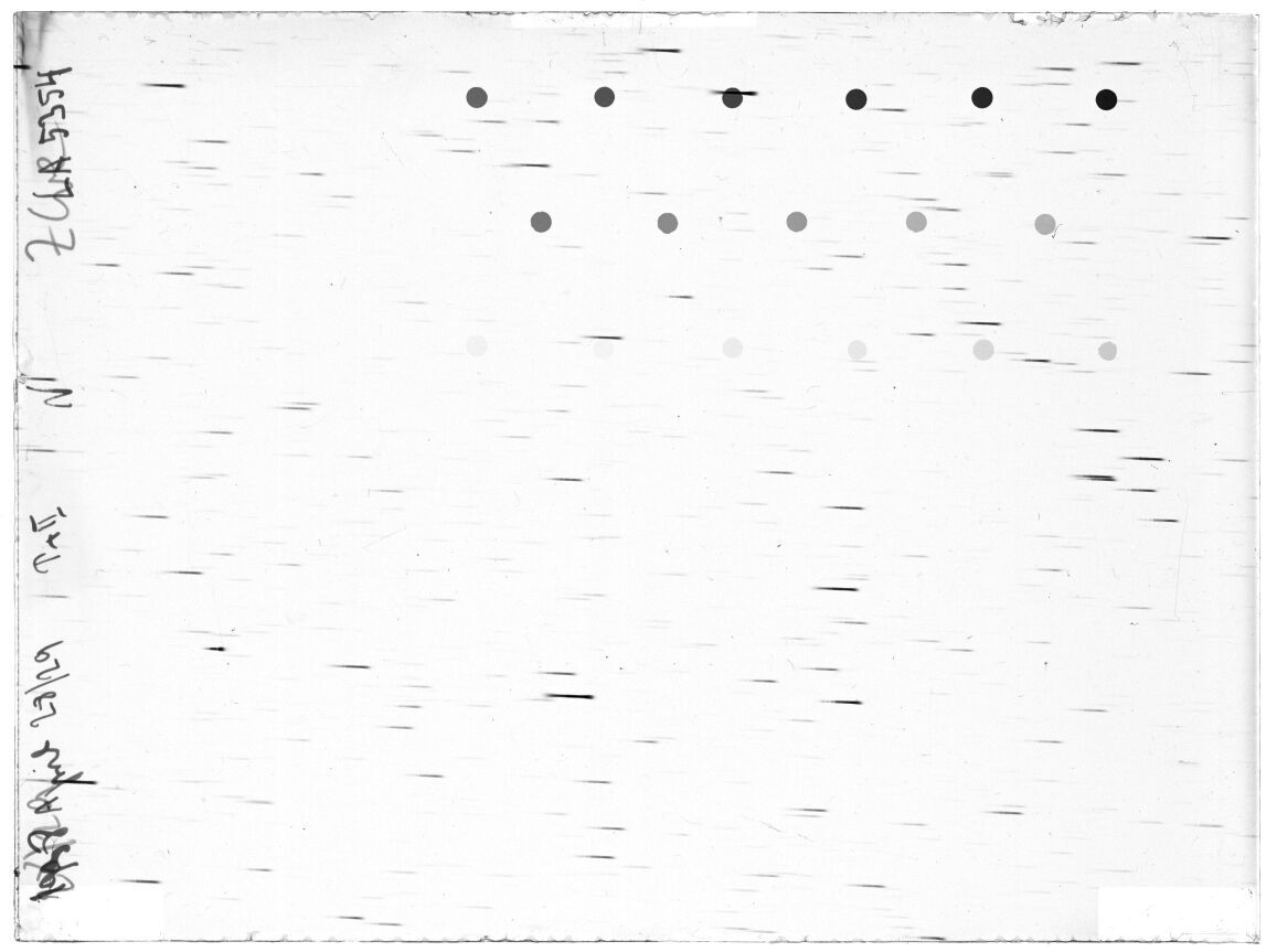 Scan LA05354