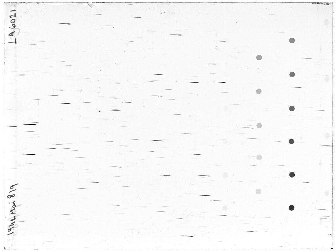 Scan LA06021