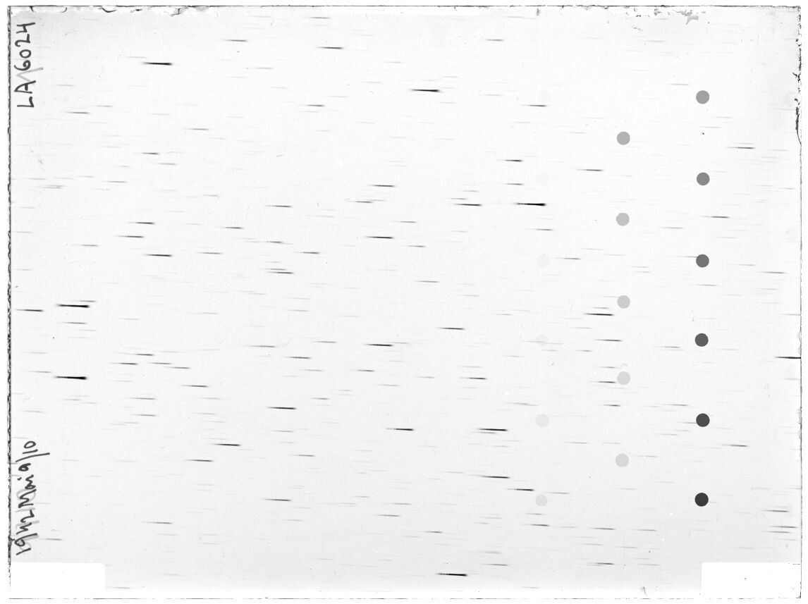 Scan LA06024