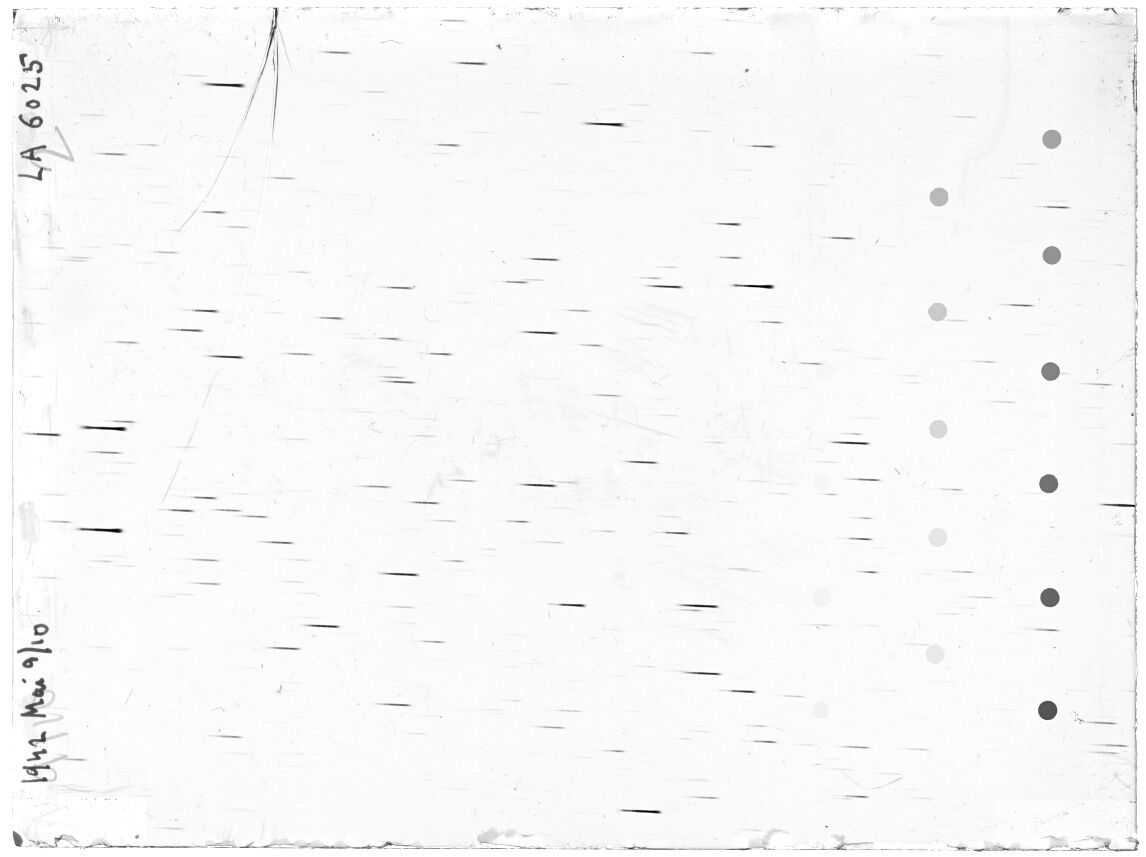 Scan LA06025