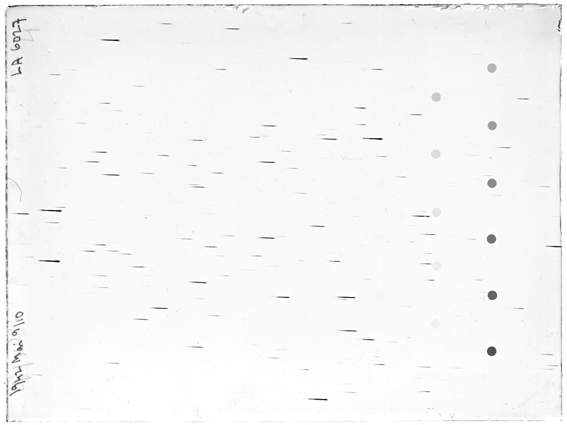 Scan LA06027