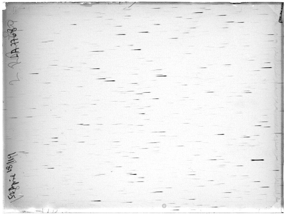 Scan LA07768