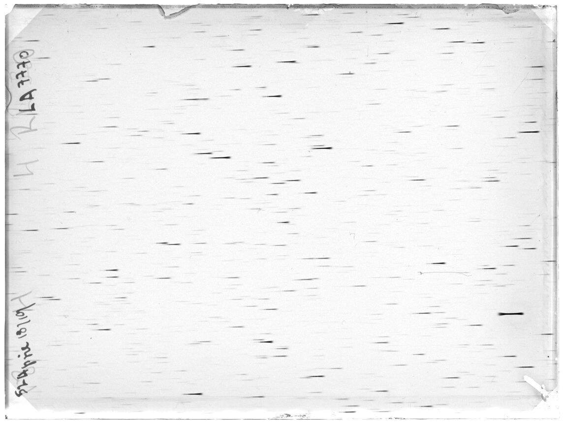 Scan LA07770
