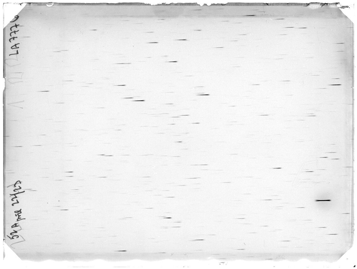 Scan LA07776