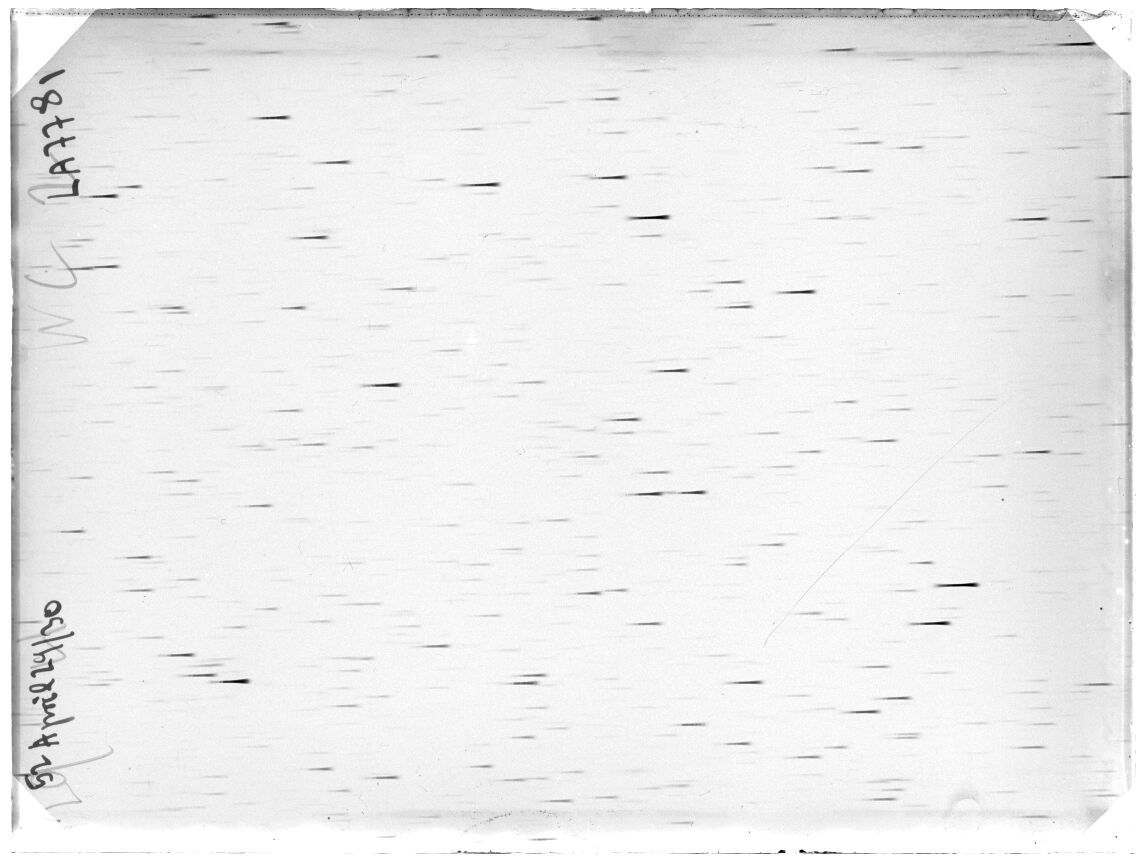 Scan LA07781