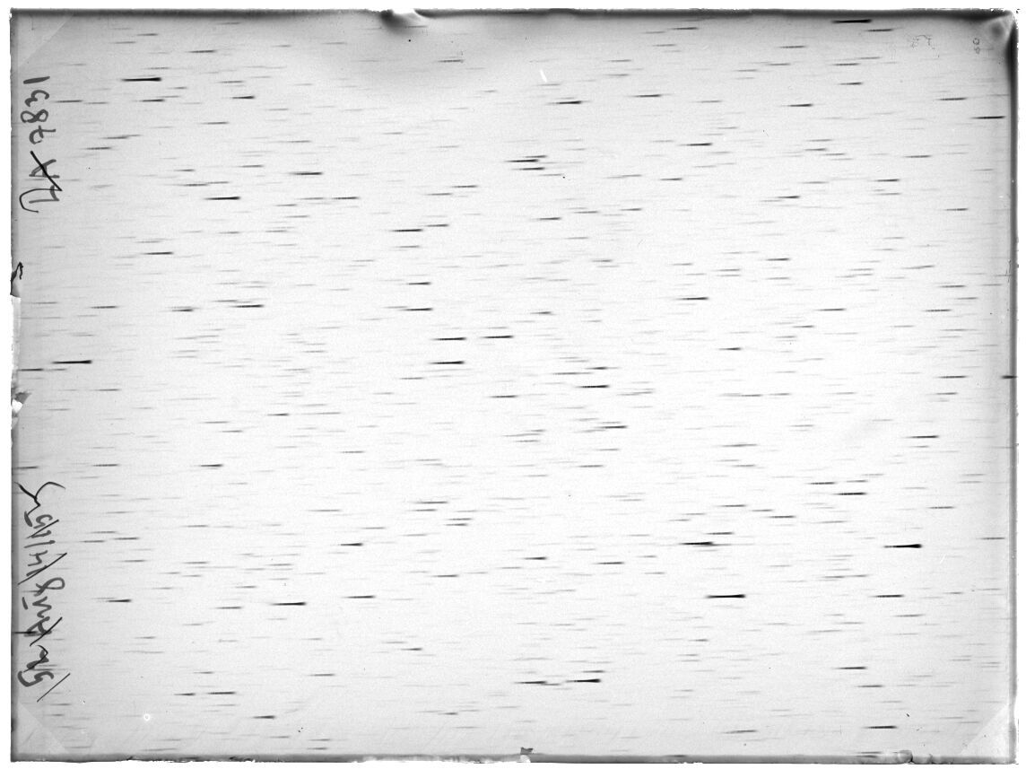 Scan LA07831