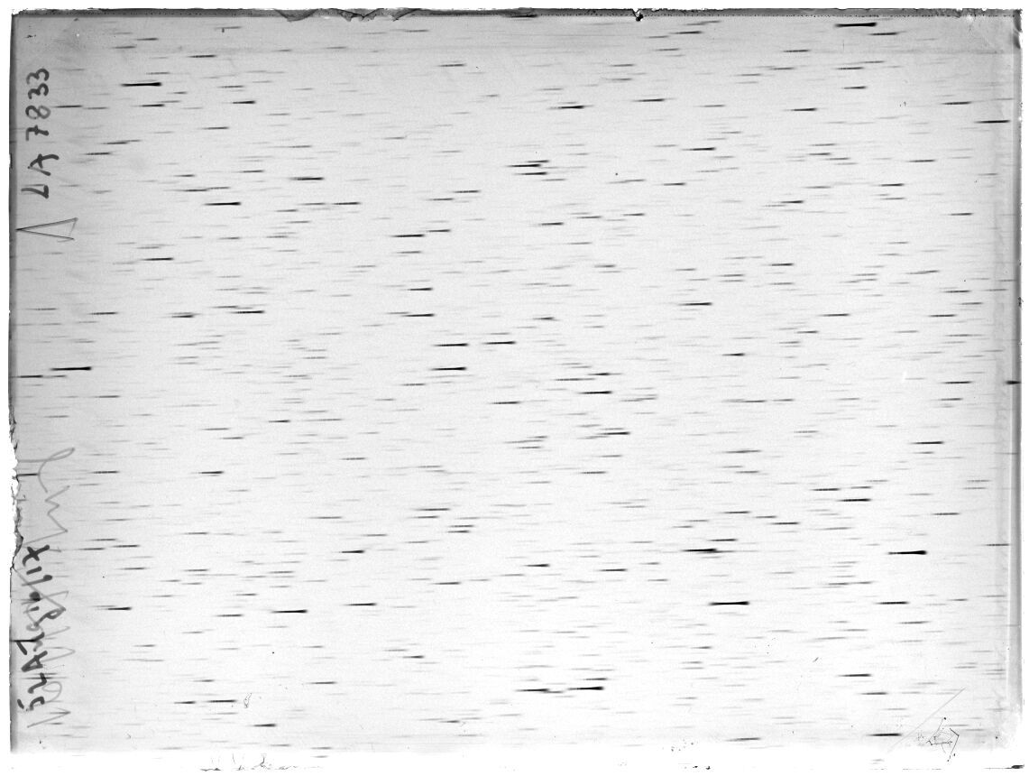 Scan LA07833