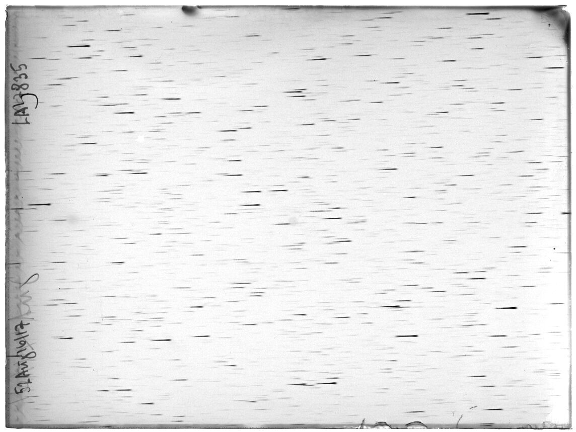 Scan LA07835
