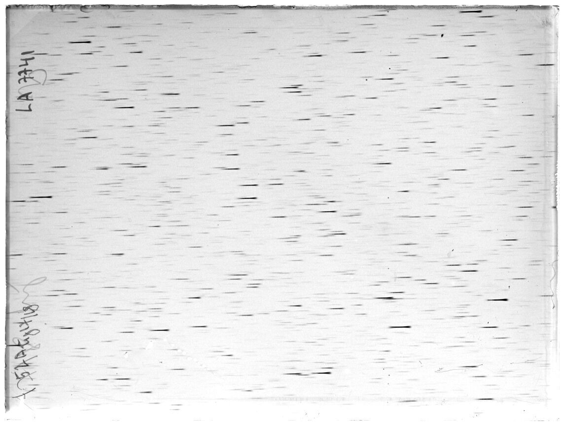Scan LA07841