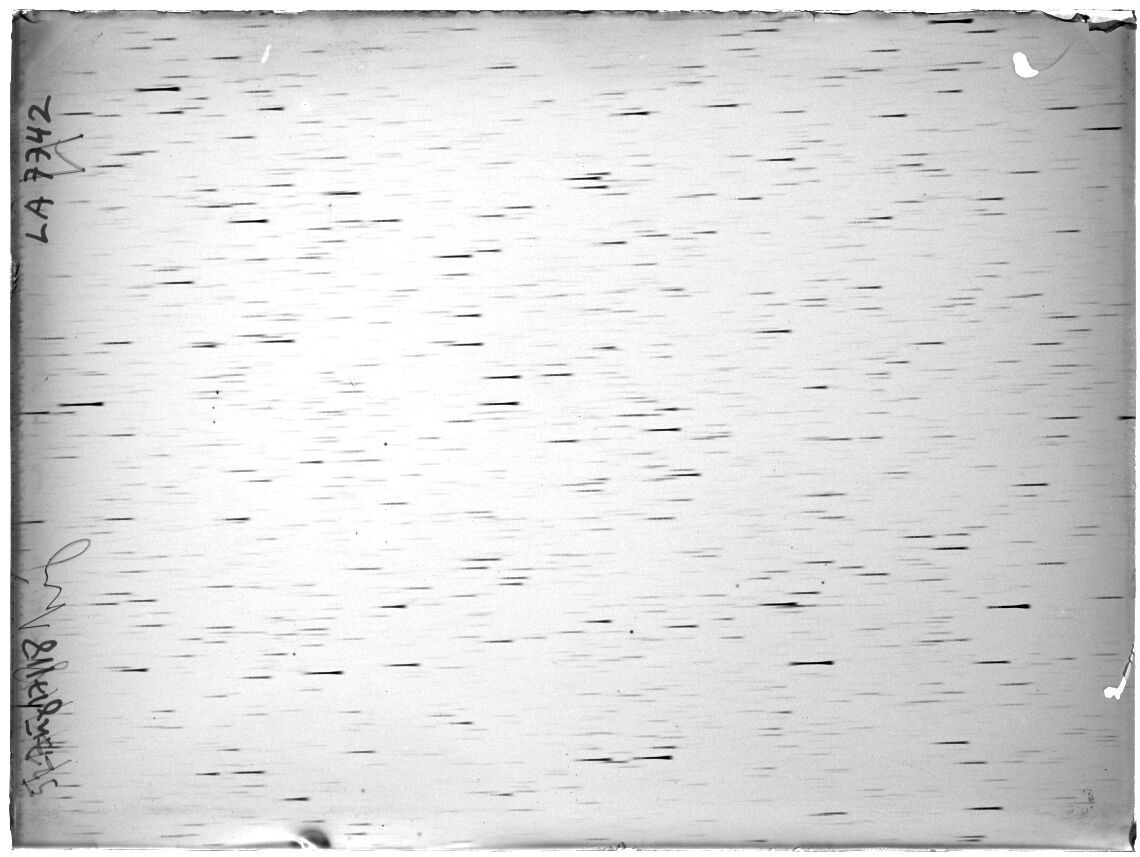 Scan LA07842