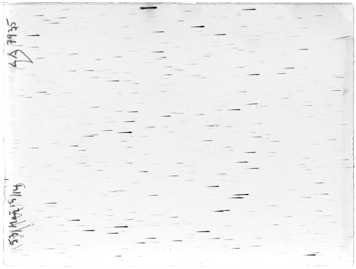 Scan LA07935