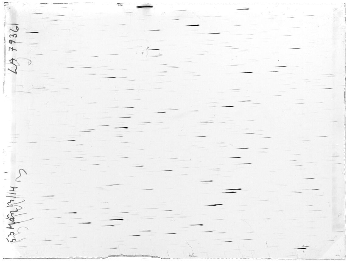Scan LA07936