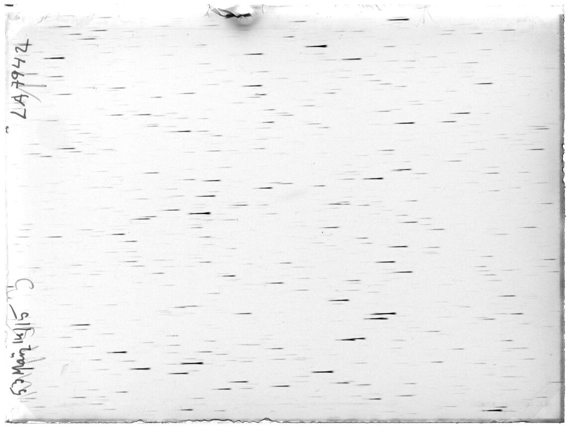 Scan LA07942