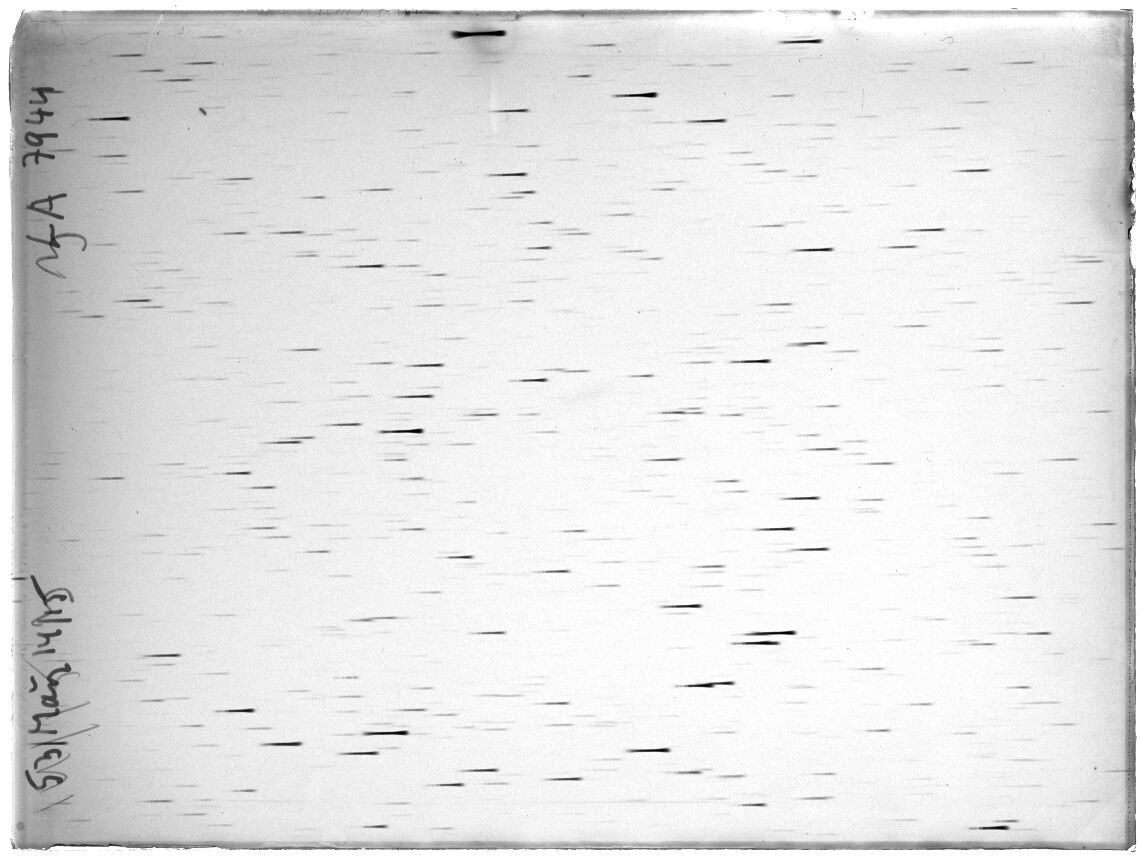 Scan LA07944
