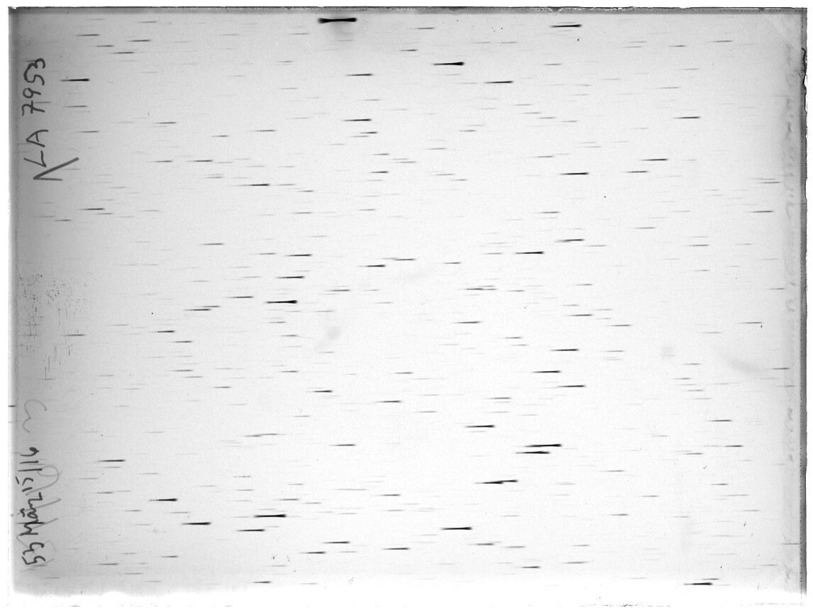 Scan LA07953