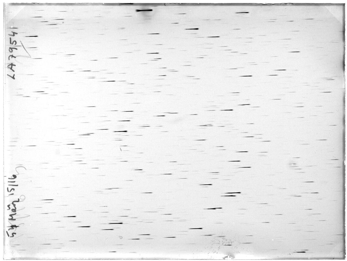 Scan LA07954