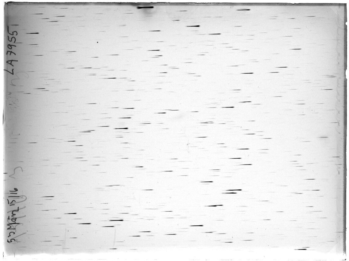 Scan LA07955