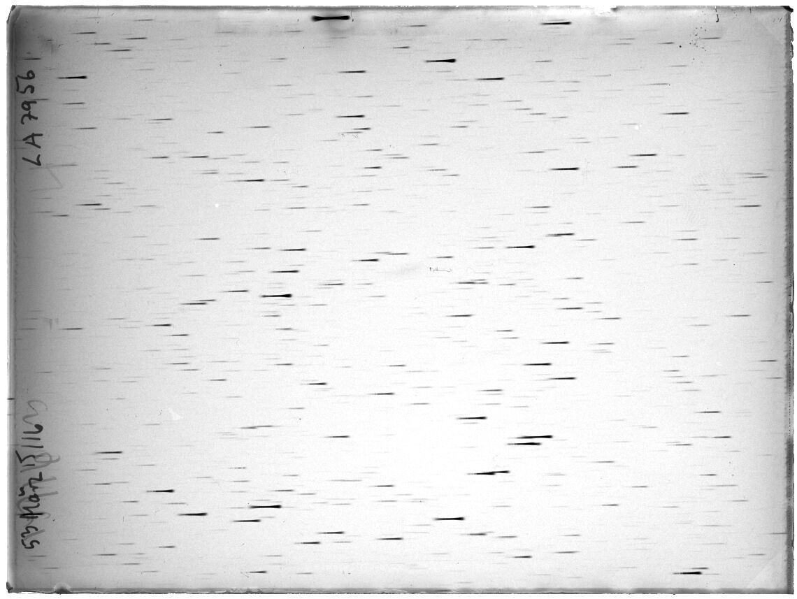 Scan LA07956