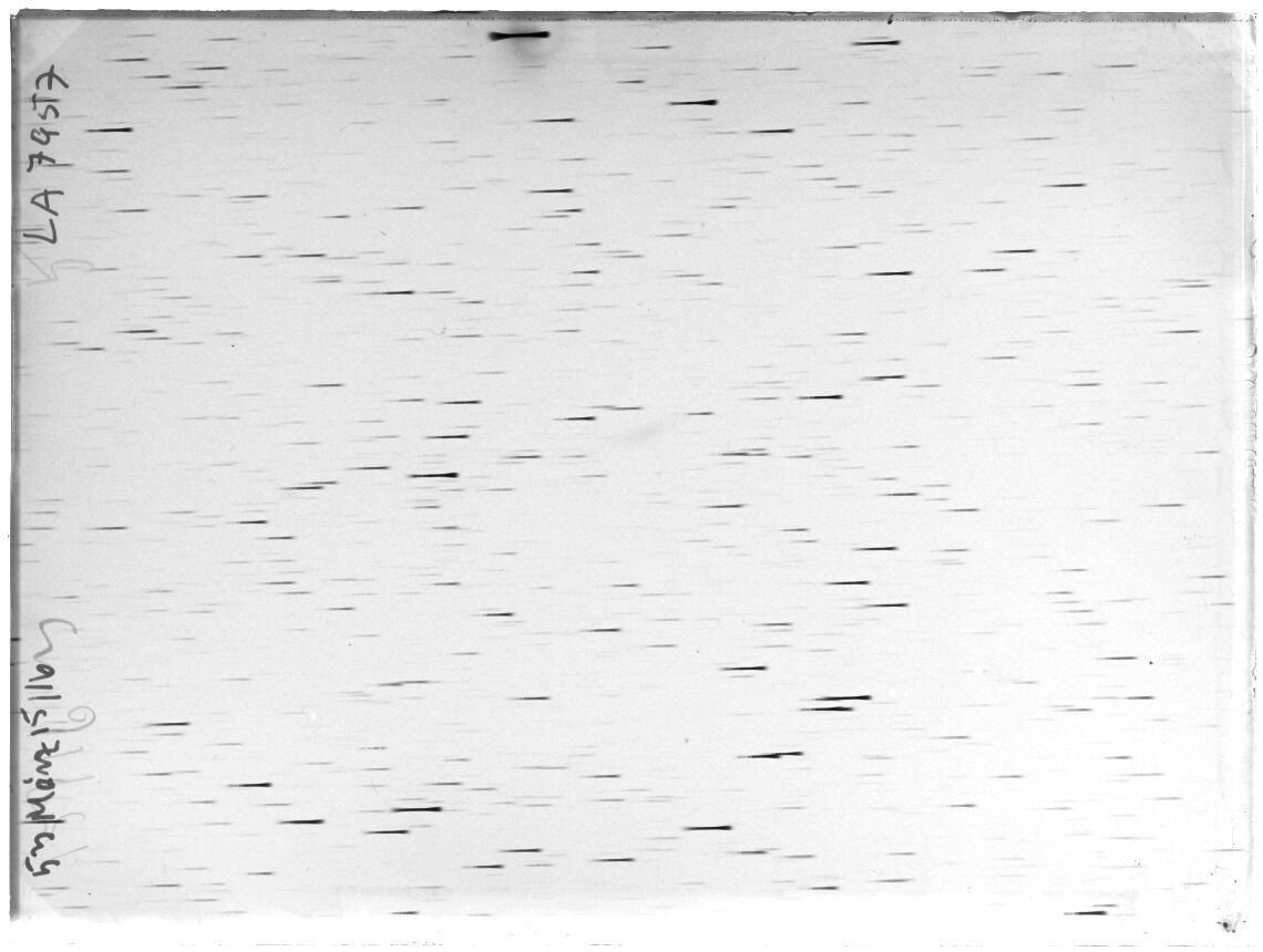 Scan LA07957