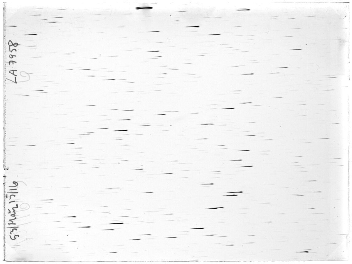 Scan LA07958