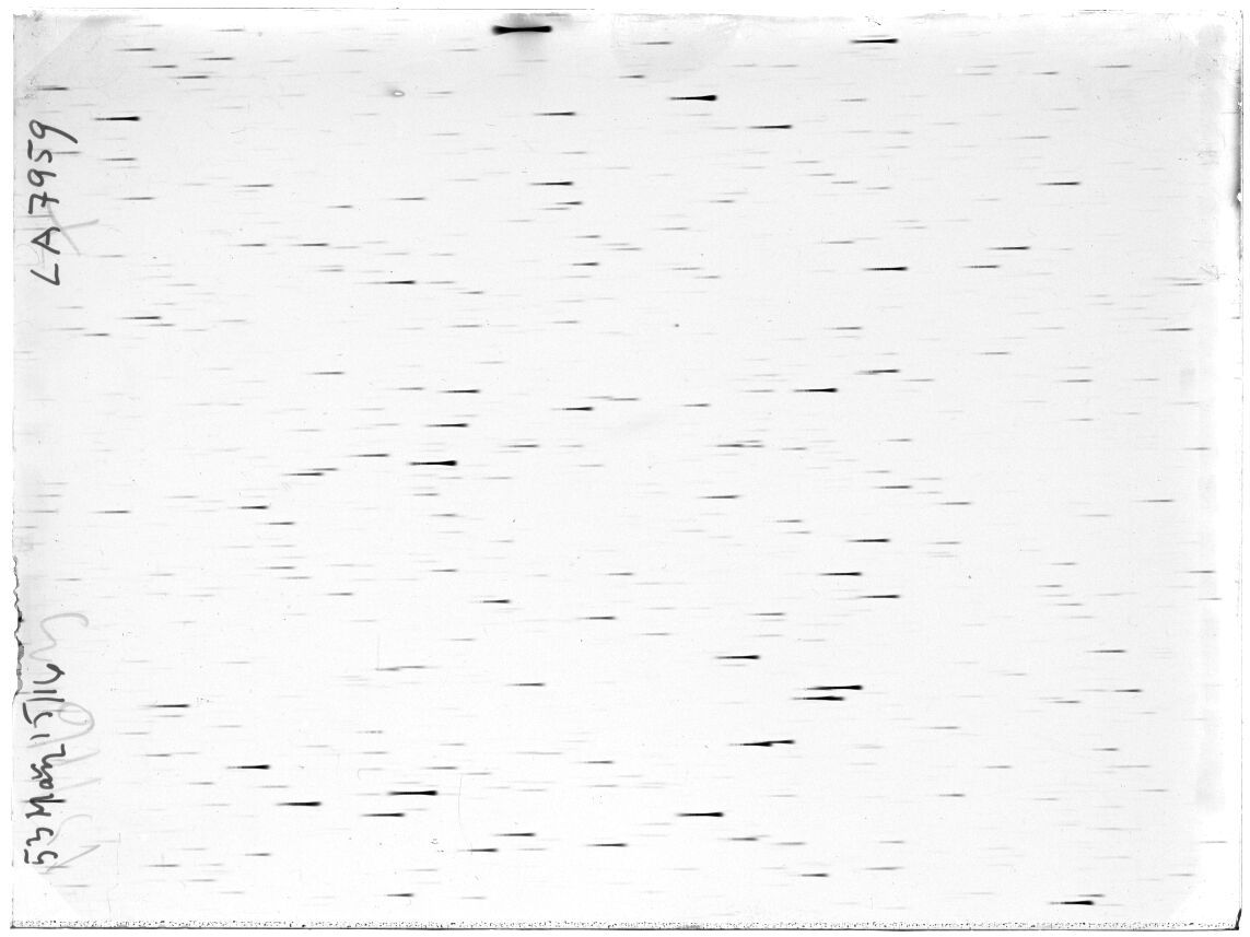 Scan LA07959