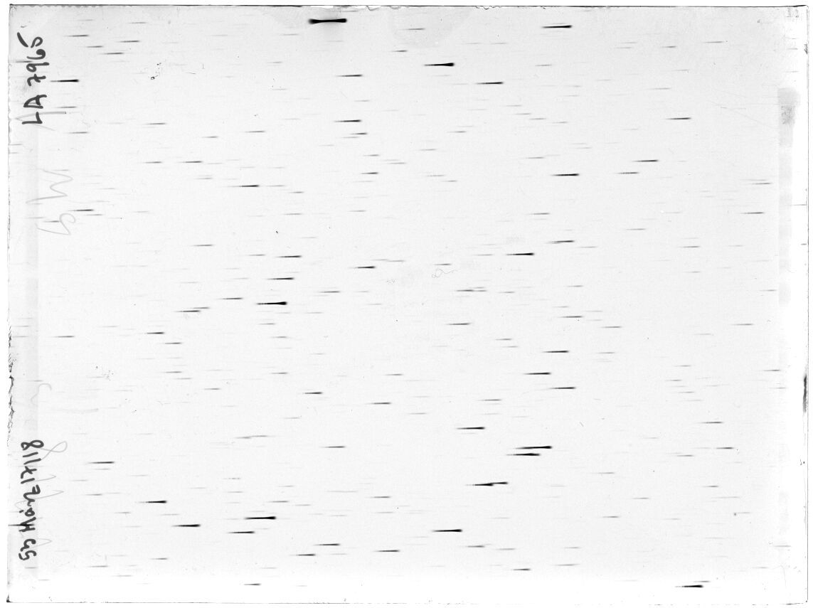 Scan LA07965