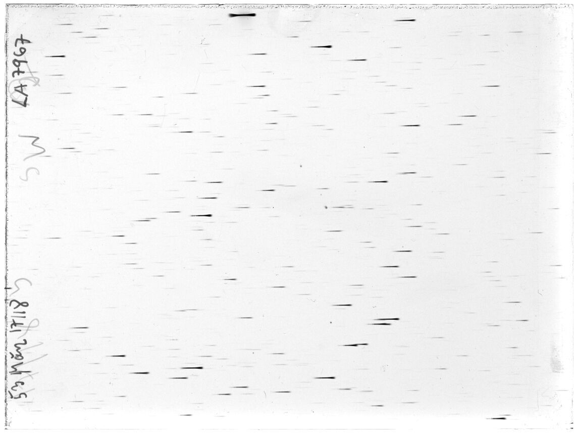 Scan LA07967