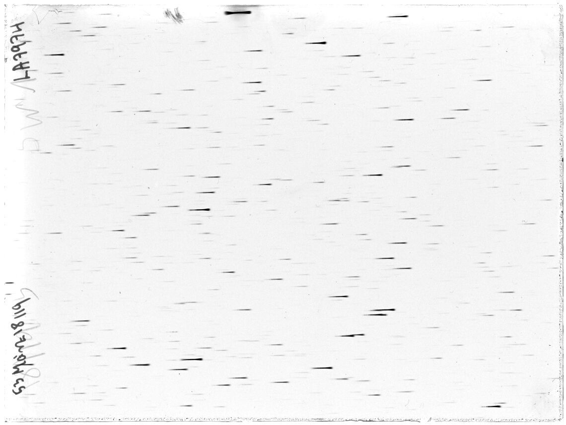 Scan LA07974