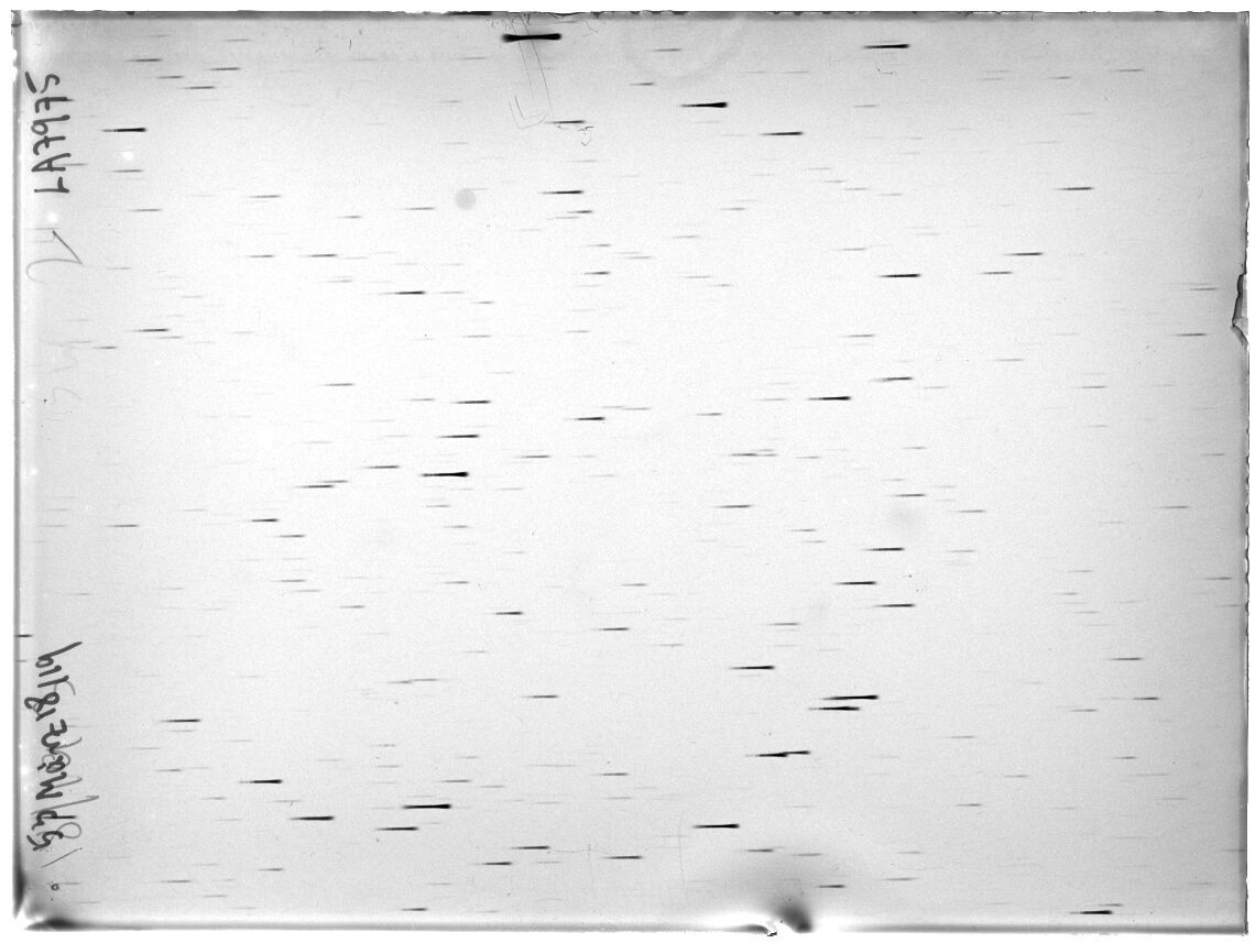 Scan LA07975