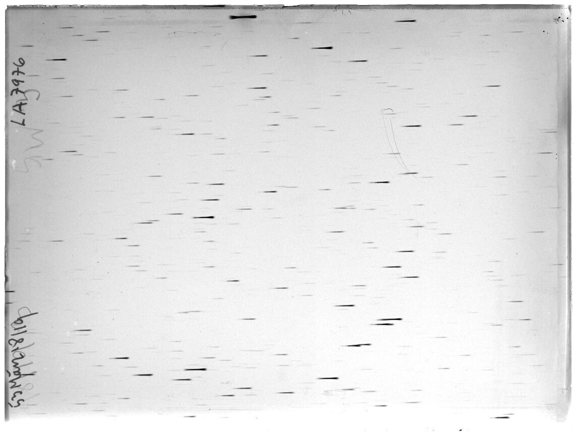 Scan LA07976