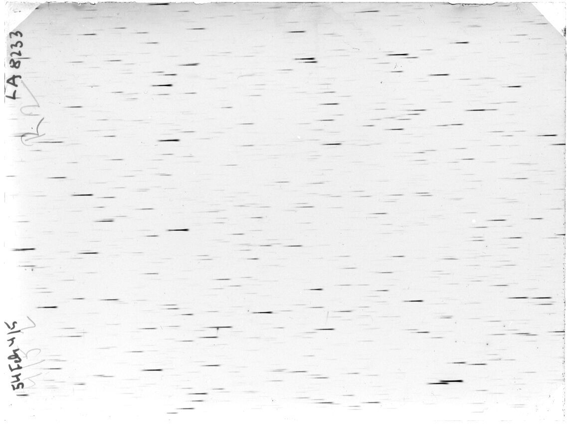 Scan LA08233