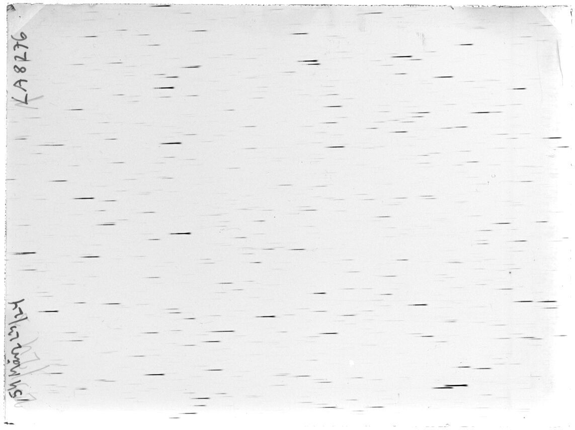 Scan LA08276