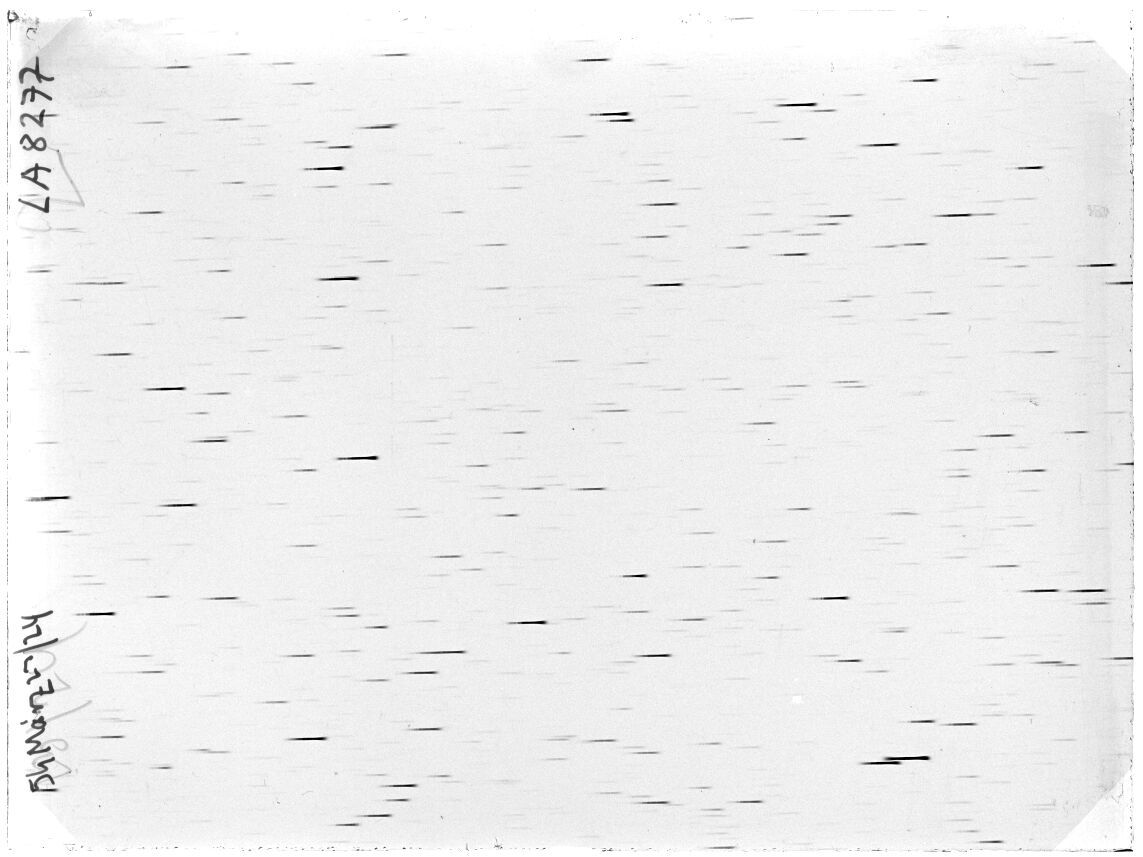 Scan LA08277
