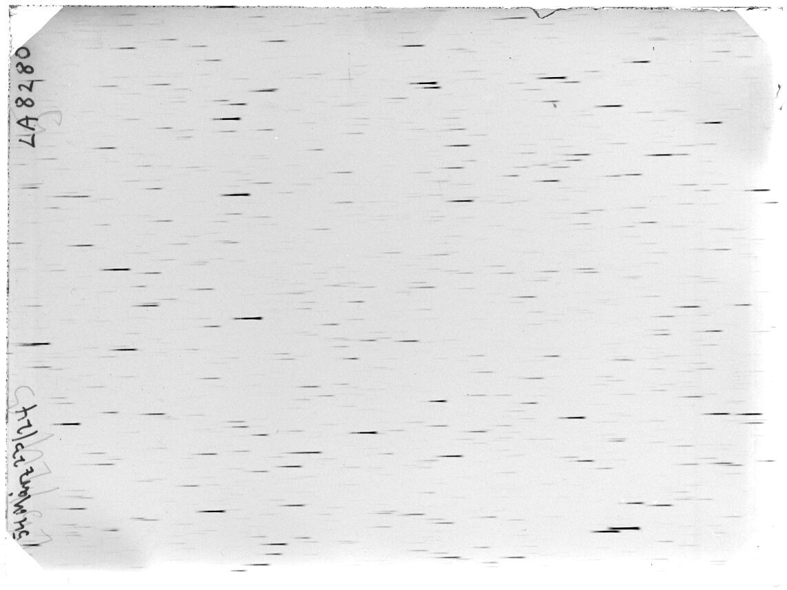 Scan LA08280