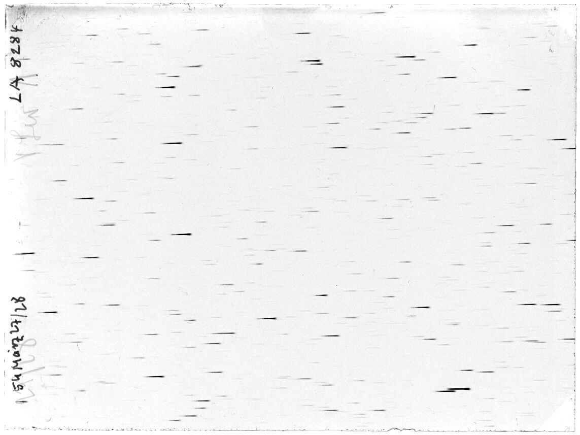 Scan LA08284