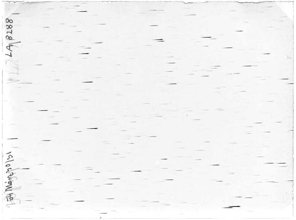 Scan LA08288