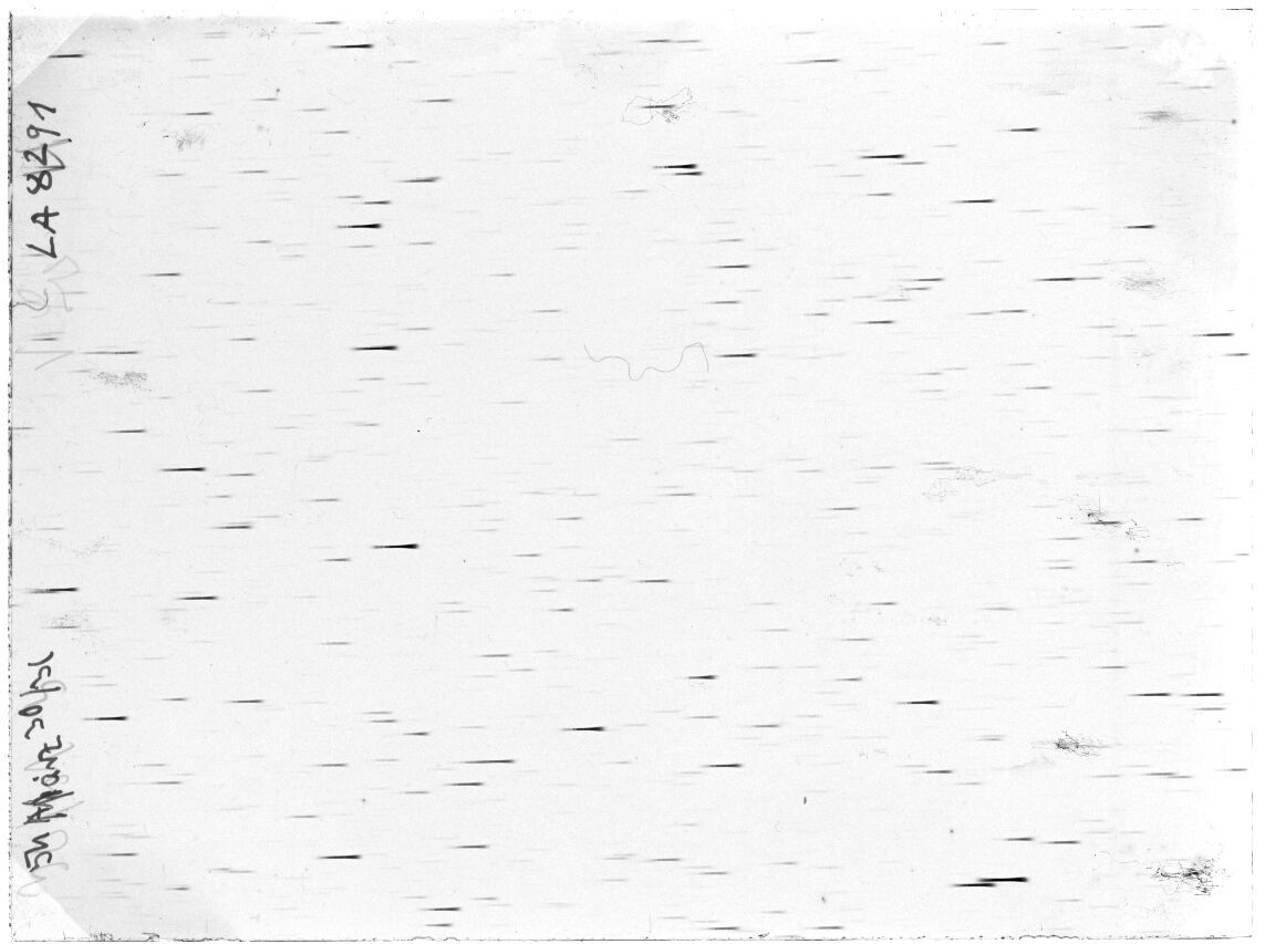 Scan LA08291