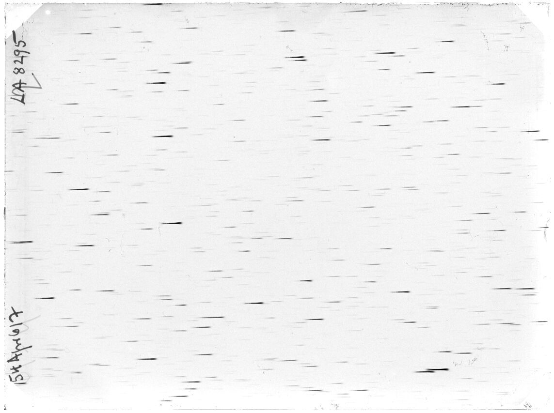 Scan LA08295